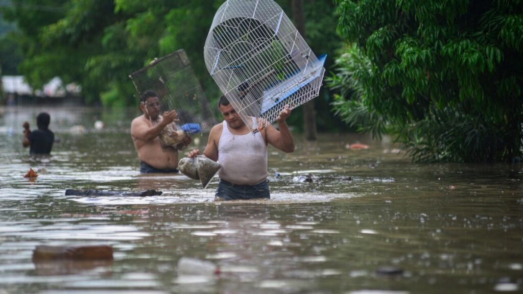 Heavy Rains, Floods Claim at Least 28 Lives in Mexico
