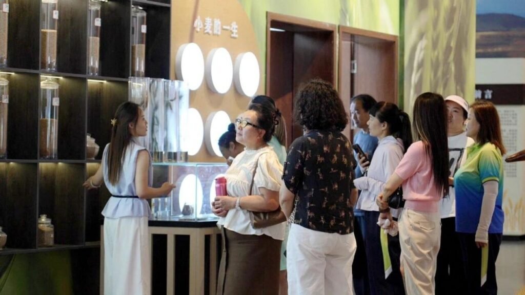 From the Wheat Fields of Xinjiang: How Collective, Tech Farming Changed Lives