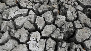 Hormuz Closure and El Niño: Asia’s Catastrophic Supply Strain