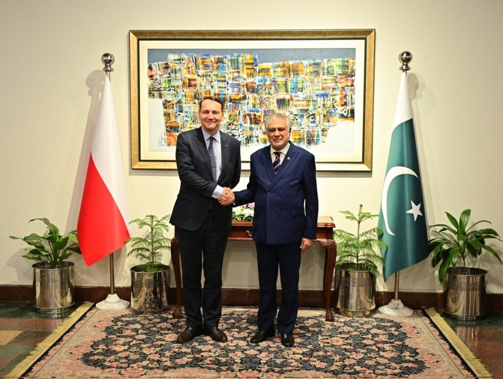 Pakistan, Poland Discuss 'Matters of Mutual Interest' as Deputy PMs Meet