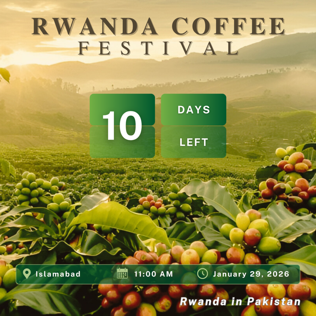 Rwanda’s Coffee Economy: Brewing Success on the World Stage