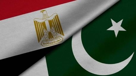 Pakistan, Egypt Vow Continued Cooperation for Gaza Peace in Foreign Ministers' Call