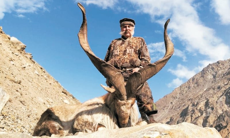 Markhor