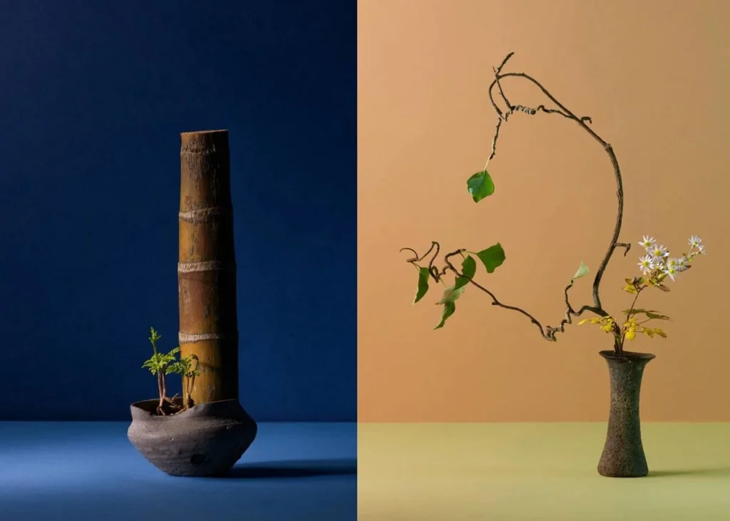The Analogy of Wabbi-Sabbi
