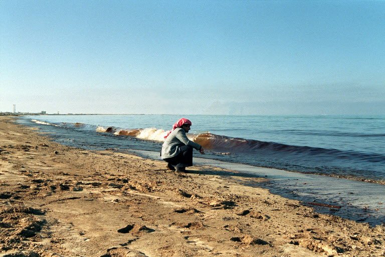 Arabian Sea Coast: Marine Life and Environmental Threats