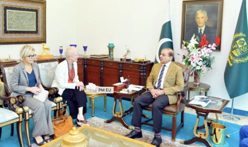 PM EU Ambassador 