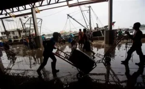 Thailand's Fishing Industry at Risk of Collapse as Iran War Causes Surge in Diesel Price