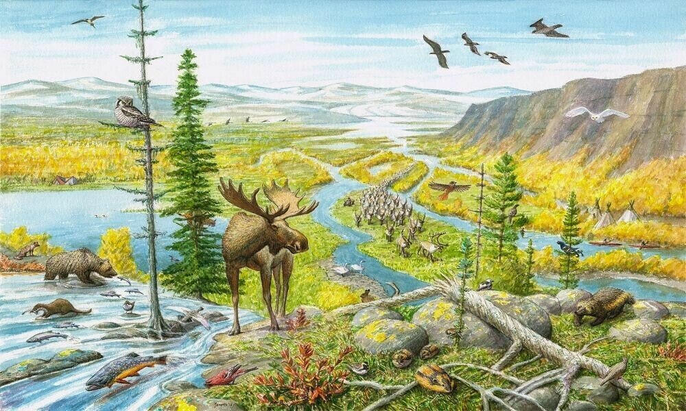 Corridors of Survival: Climate Change and the Future of Biodiversity in Pakistan