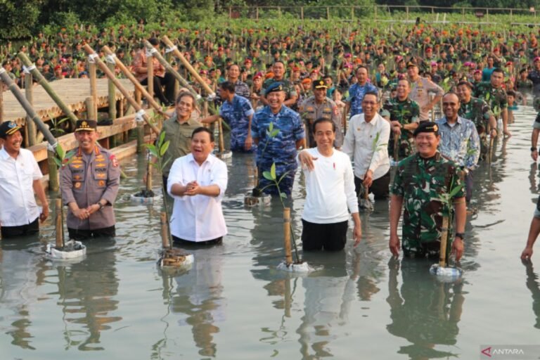 Indonesia's Carbon Market, Ready for Takeoff