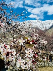 Romania's Envoy Mesmerized by the Tradition & Beauty of Altit Village, Gilgit