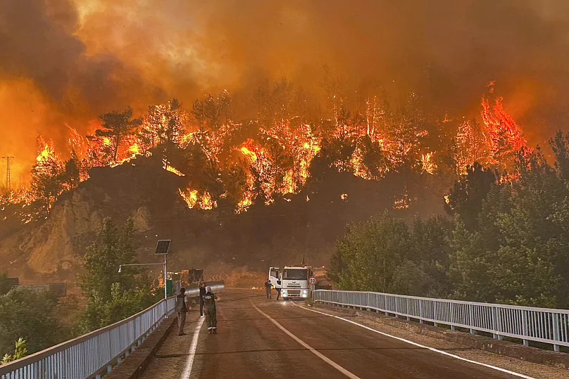 10 Firefighters Killed, 14 Injured in Wildfire Tragedy in Northwestern Turkey