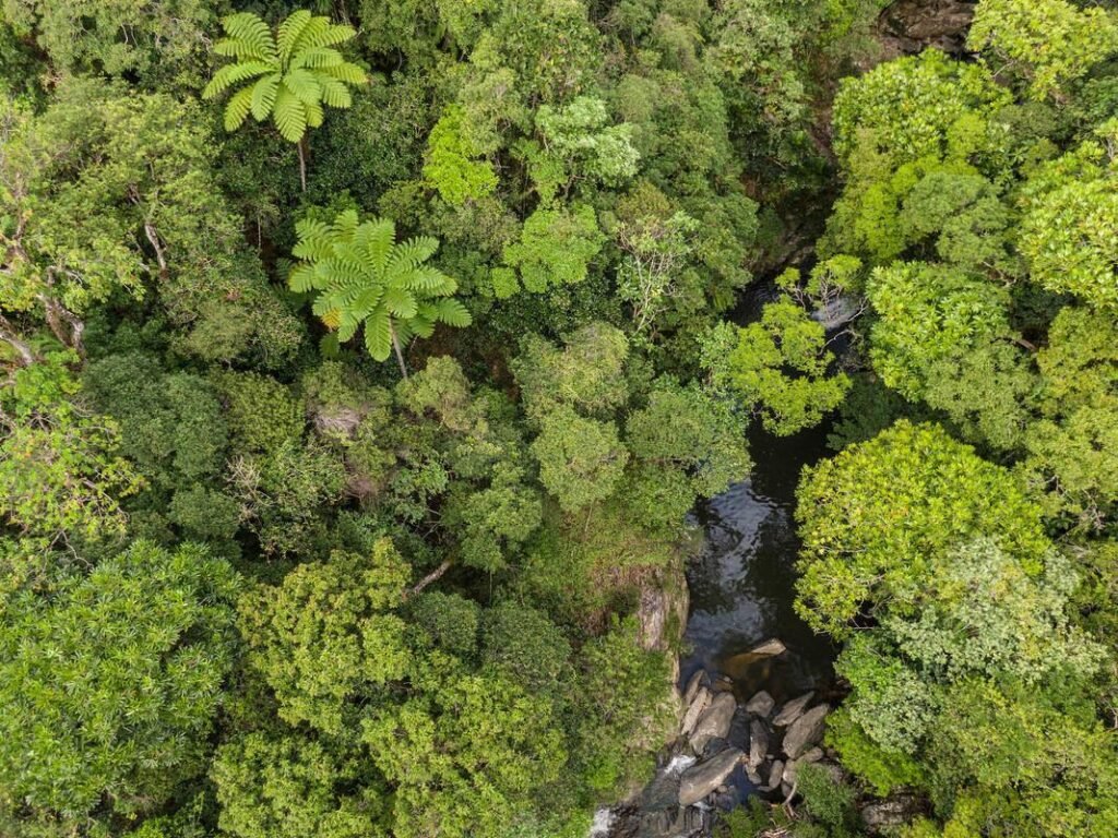 Asia-Pacific’s Alarming Loss of Biodiversity: A Hidden Threat to Food Security and Future Habitats