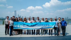 China Investment in Regional States - TDI