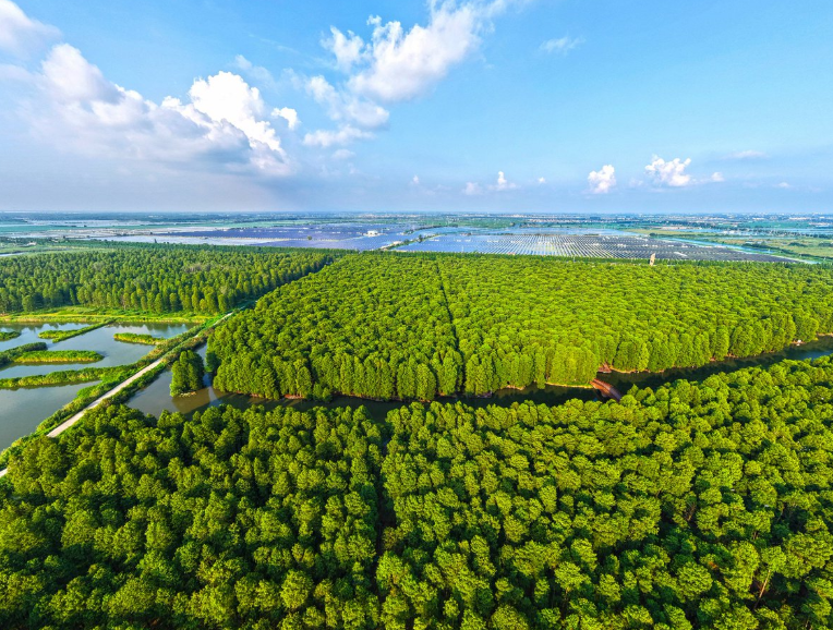 China's Ambitious Ecological Protection Plan Sets Targets for 2030