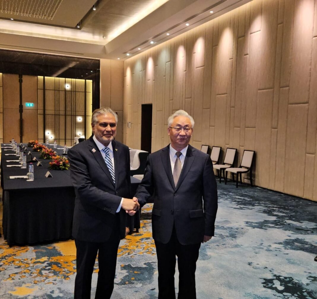 Foreign Minister Dar meets Chinese Vice Premier at Nuclear Summit