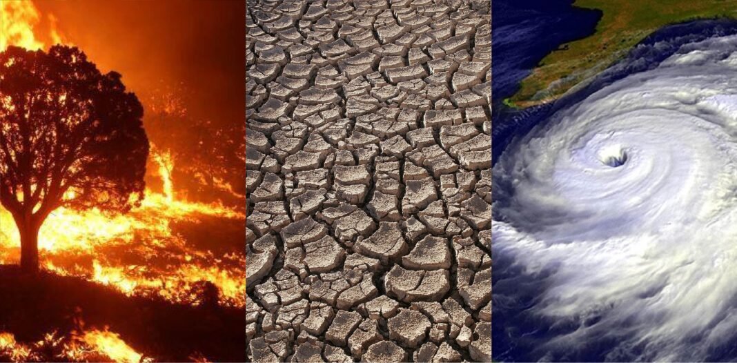 Climate Change and the Global Political Response