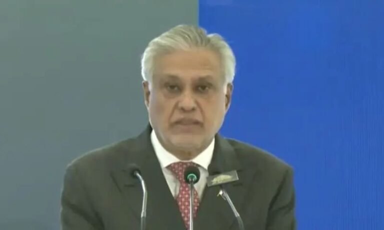 Pakistan, Palestinian, Self-Determination, Middle East, Ishaq Dar