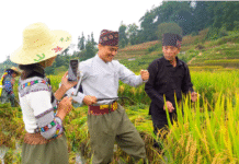 World Cultural Heritage Site: The Cultural Landscape of the Honghe Hani Rice Terraces