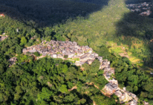 World Cultural Heritage Site: Old Tea Forests of the Jingmai Mountain in Pu’er