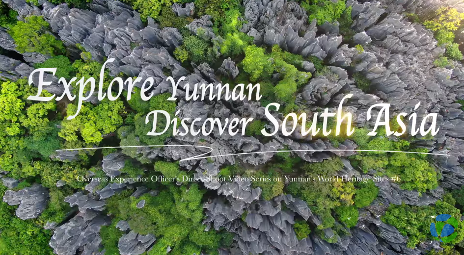 World Natural Heritage Site The Stone Forest (part of the South China ...