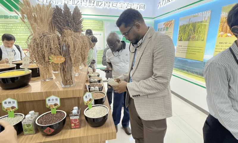 Foreign Parliamentarians Explore China's Agricultural Modernization