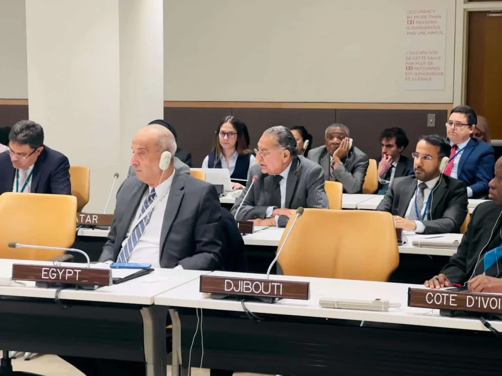 Ambassador Akram objects Ayodhya Temple construction