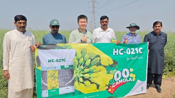 Pakistan's Fongrow Farm anticipates harvest of Chinese Canola
