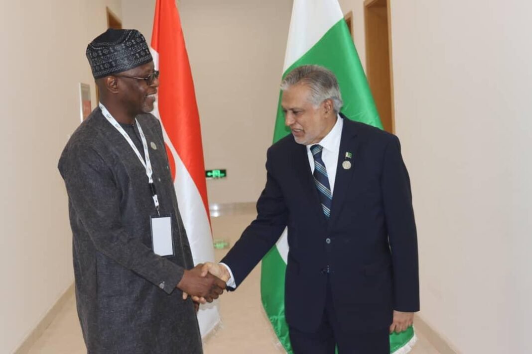 Foreign Ministers of Pakistan and Niger meet in Banjul