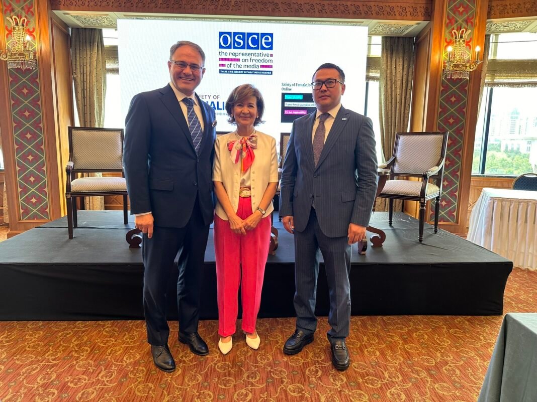 Roman Vasilenko attends OSCE journalist safety forum