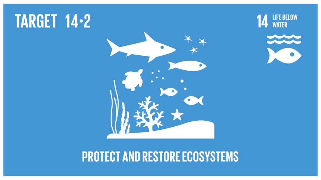 Our planet's oceans, home to 80 percent of Earth's life, are a vital force that sustains us in numerous ways. They provide the very air we breathe, furnish food for our tables, support our economies, act as a carbon emissions buffer, and represent a critical ally in our battle against climate change. In essence, our oceans are our lifeline.