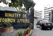 Pakistan Condemns Drone Attack on Chinese Workers in Tajikistan Pakistan, Tajikistan, Chinese, drones, Dushanbe