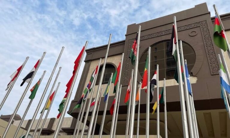 OIC Foreign Ministers Meet in Baghdad to Discuss Palestine and Regional Crises