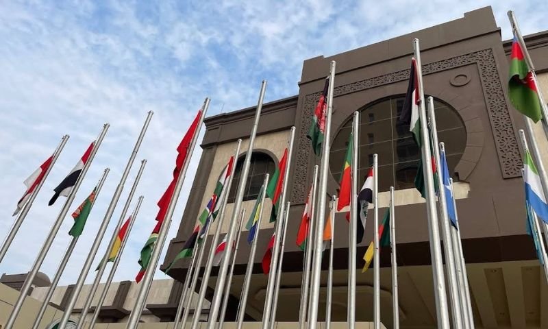 Pakistan, Foreign Secretary Syrus Sajjad Qazi, OIC, Council of Foreign Ministers, Yaoundé, Cameroon, Israel’s war on Gaza, Islamophobia,