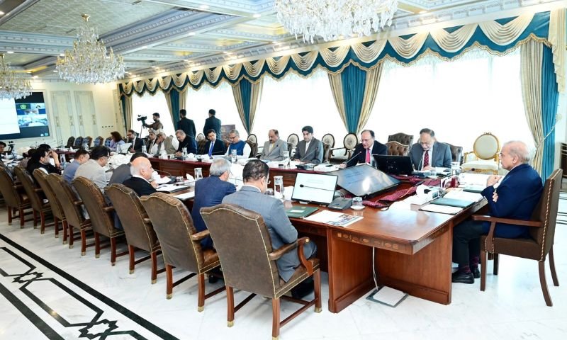 Government, prime minister, Shehbaz Sharif, Muhammad Aurangzeb, cabinet