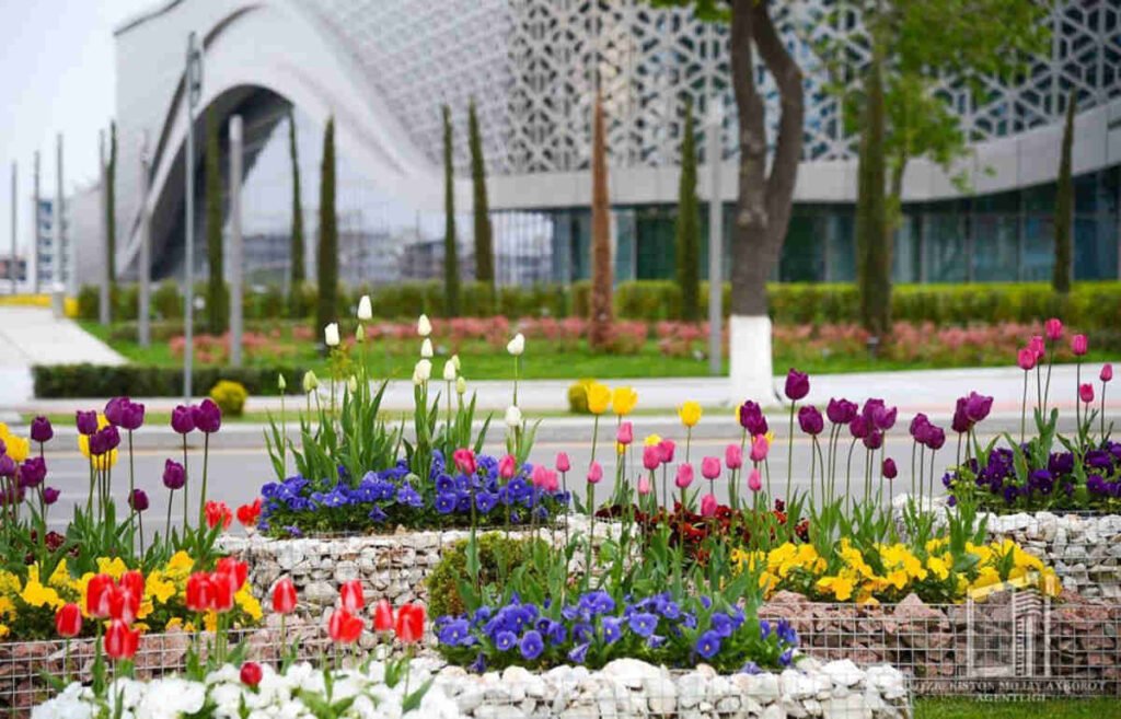 uzbekistan