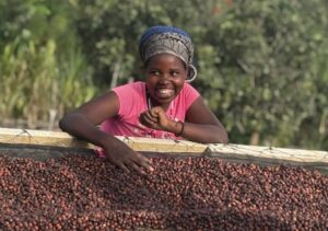 Rwanda’s Coffee Industry and Pakistan’s Urban Coffee Culture Open Space for Mutual Investments