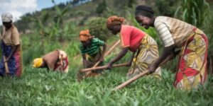 Here's Why Rwanda Is Pakistan’s Gateway to Africa