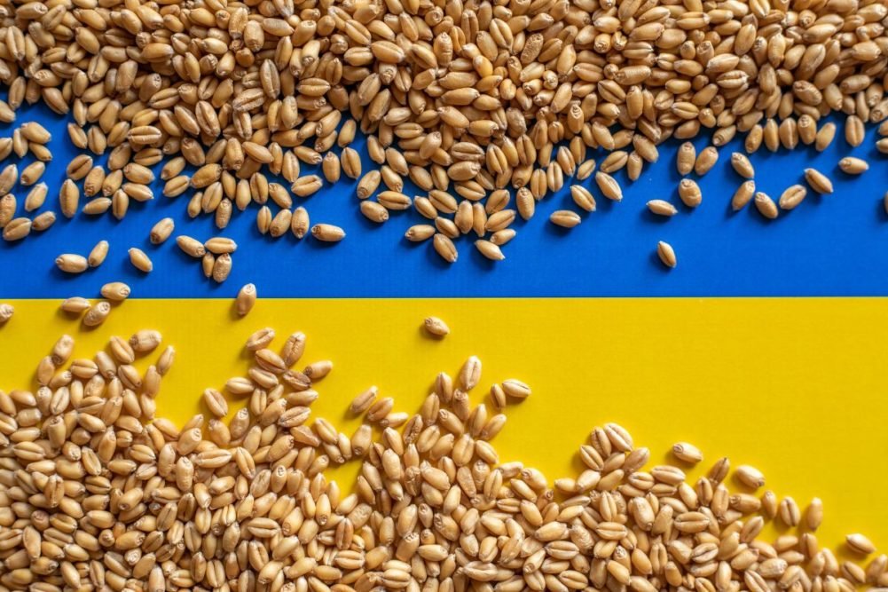 Ukraine aims to export all grain from its 2023 Harvest