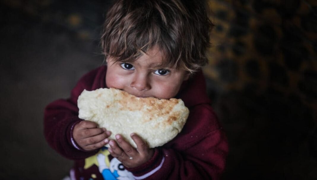 WFP provides critical food aid to 120,000 in Gaza