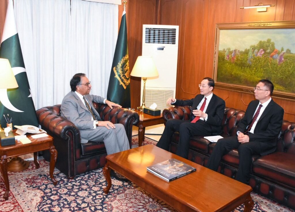 Foreign Minister Jilani meets Chinese Vice Foreign Minister