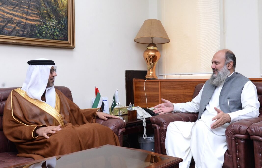 UAE desires to see Pakistan thrive across all sectors