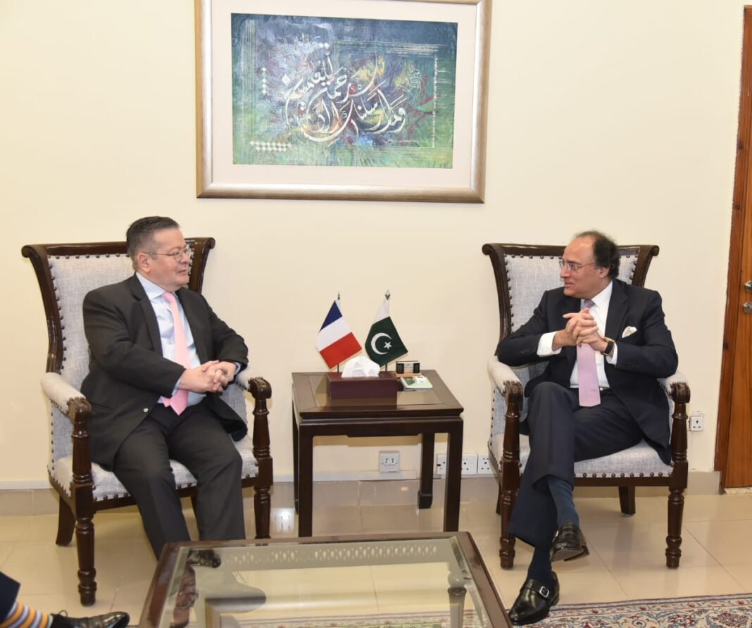 Ambassador of France meets the Pakistan's Minister for Finance and Revenue