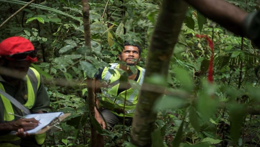 FAO Launches National Forest Inventory Learning Journey for Forest Data Management