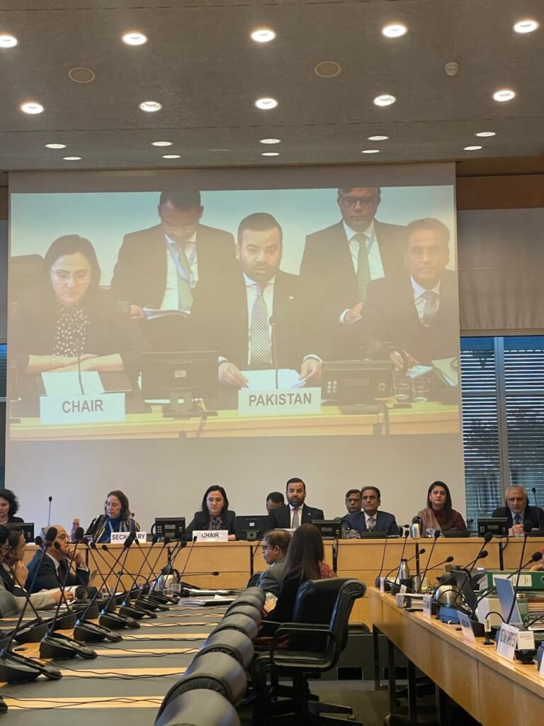 Pakistan Presents Report on Child Rights Situation in the Country at UN