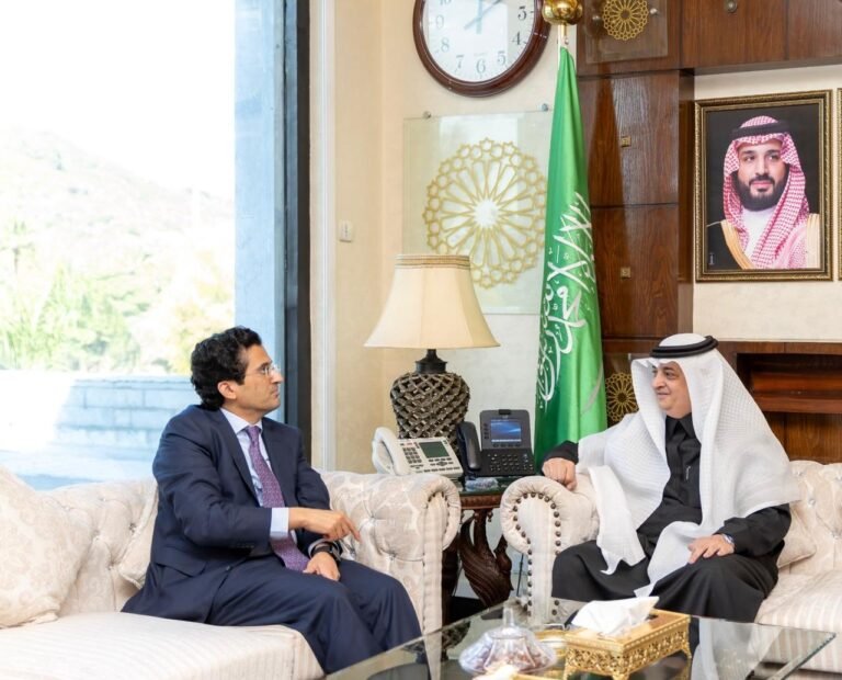 Pakistan, Saudi Arabia to Deepen Cooperation in Energy and Minerals