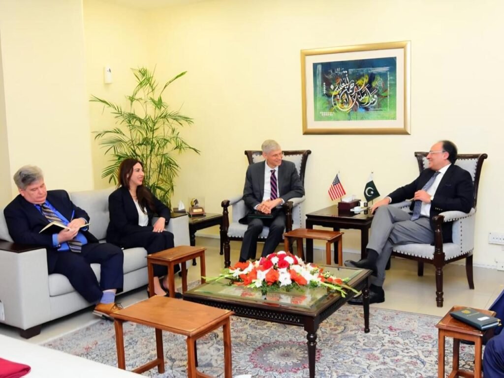 Pakistan's Finance Minister Highlights Privatization Plans in Talks with US Official