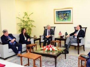 Pakistan's Finance Minister Highlights Privatization Plans in Talks with US Official