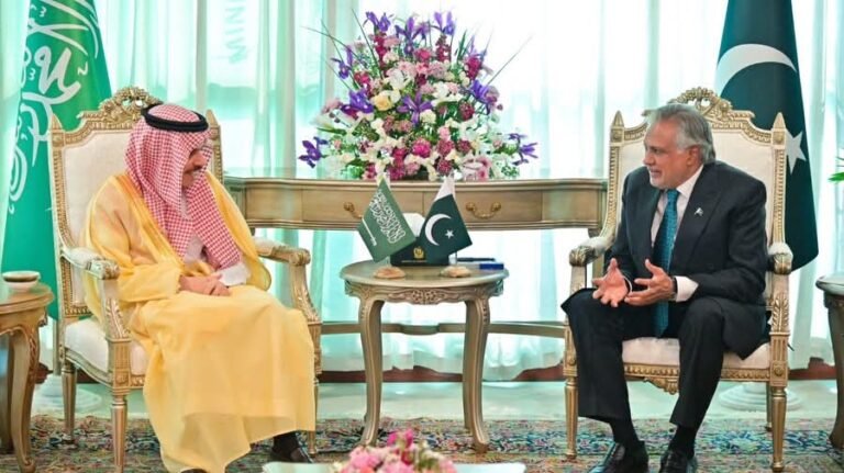 Pakistan, Saudi FMs Stress 'Collective Efforts' for Stability in the Gulf and Mideast