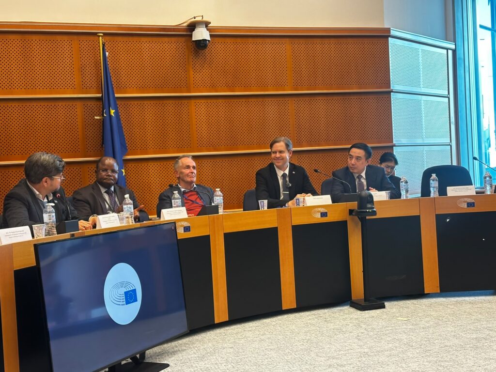 IPDS President Calls for Fairer, More Inclusive Governance at the European Parliament 3