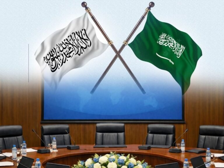 Afghanistan, Saudi Arabia, Economic, Information, Culture